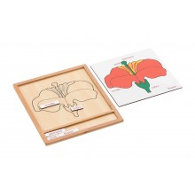 Farebná botanická puzzle aktivita set-kvetina