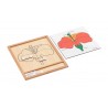 Colored botany puzzle activity set-flower
