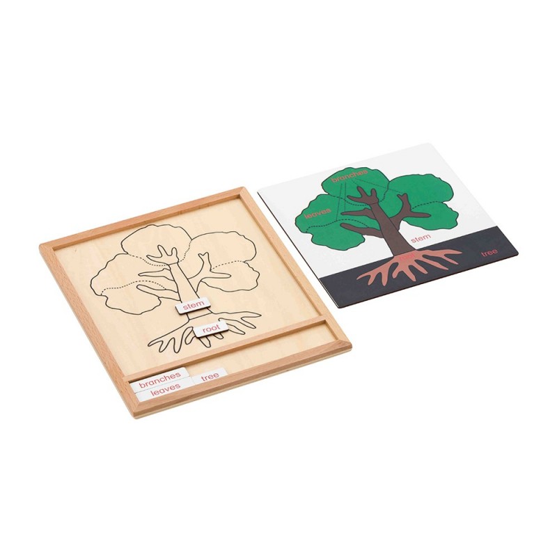 Colored botany puzzle activity set-plant