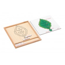 Colored botany puzzle activity set-leaf