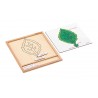 Colored botany puzzle activity set-leaf