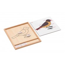 Colored animal puzzle activity set -bird