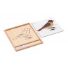 Colored animal puzzle activity set -bird - English