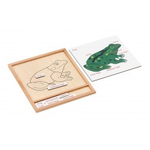 Colored animal puzzle activity set - frog