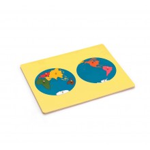 Puzzle Map Of The World Parts(occident)