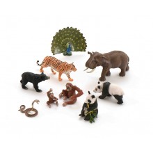 Set  Tiere Asiens