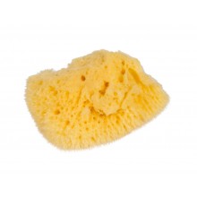 Kleiner Naturschwamm