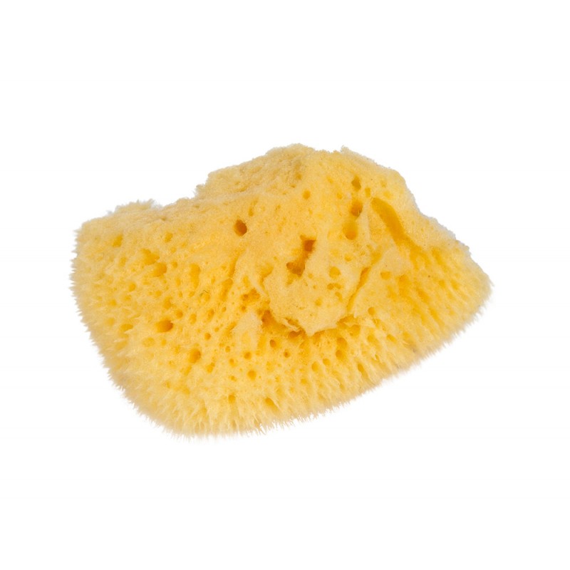 Small Natural Sponge