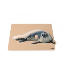 Kleinkind-Puzzle: Seehund