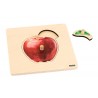 Kleinkind-Puzzle: Apfel