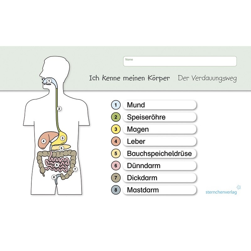 Ich kenne meinen Körper – Der Verdauungsweg