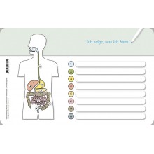I know my body – The digestive path - without a pen