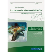 SET - Lebenszyklus Meeresschildkröte