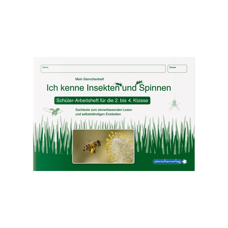 Lebenszyklus Marienkäfer