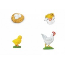 Lebenszyklus Huhn - Set