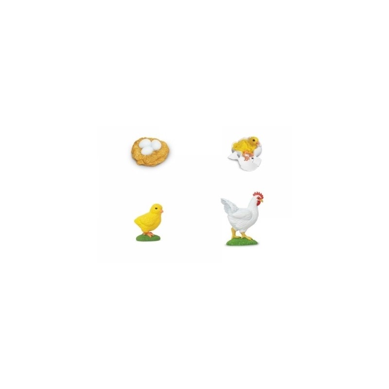 Lebenszyklus Huhn - Set