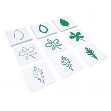 Leaf Shapes Cards