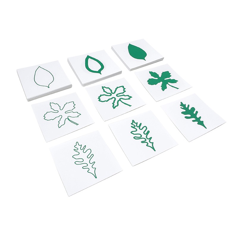 Botanischer Kartensatz