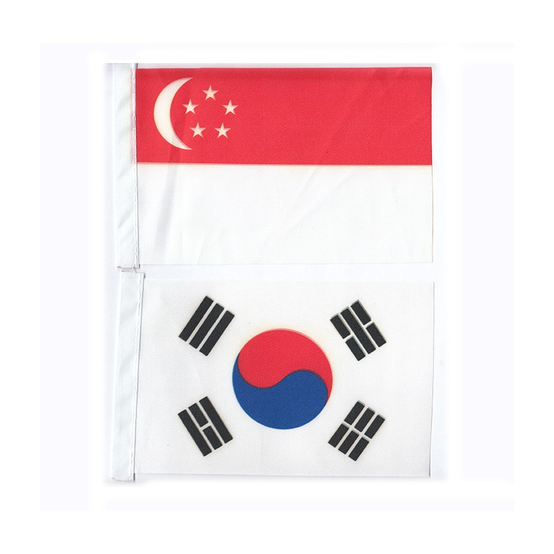 Flaggen Asien 47 Länder