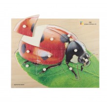Wooden puzzle - realistic ladybug