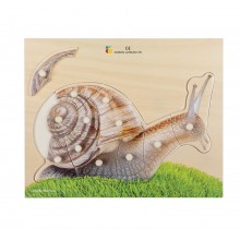 Holz-Puzzle - realistisch Schnecke