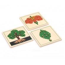 Botanické puzzle