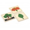 Botanische Puzzle - Baum, Blume, Blatt