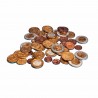 Euro coins
