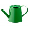 Mini watering can: green