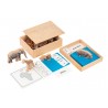 Continent crate •