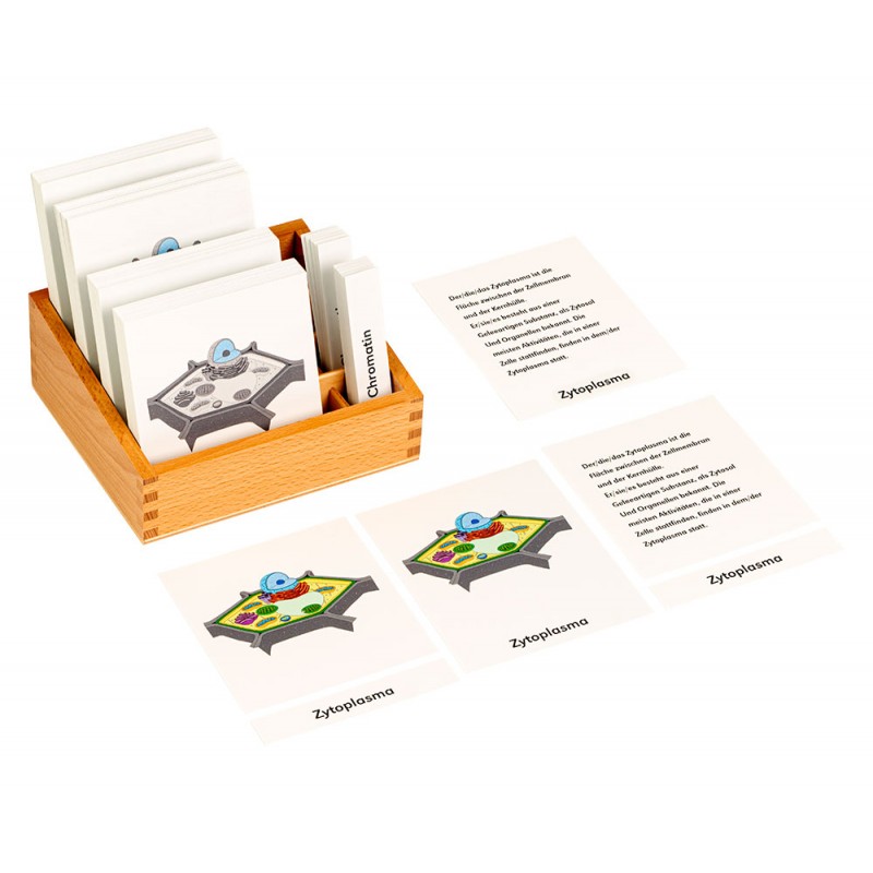 Definitionsmaterial Pflanzenzelle