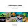 Zeitleiste des Lebens
