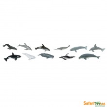 Whales and dolphins