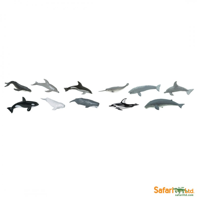 Whales and dolphins