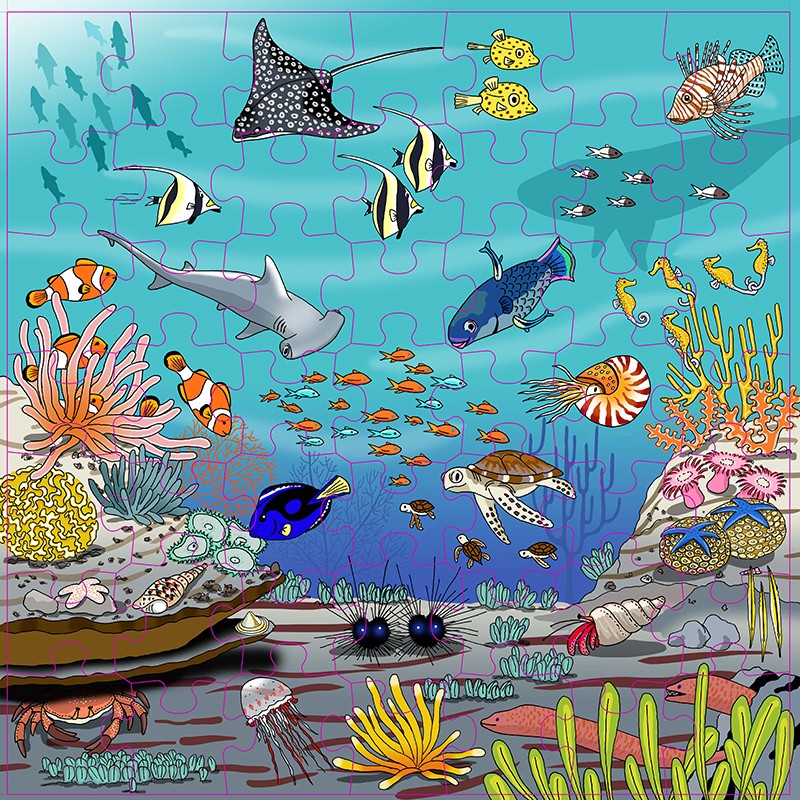 Vocabulary puzzle coral