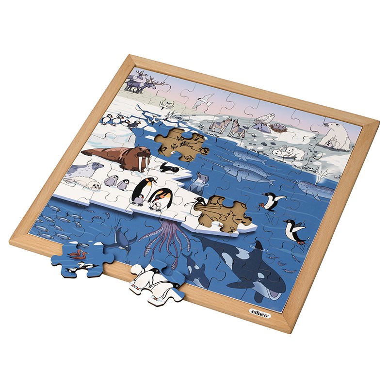 Vocabulary puzzle polar regions