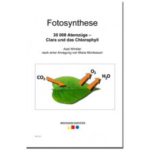 photosynthesis
