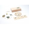 Life Cycle - Turtle - working material - english