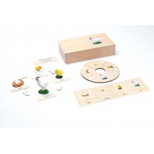 Life Cycle - Chicken - working material - english