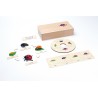 Life Cycle - Ladybird - working material - english