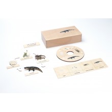 Life Cycle - Crocodile - working material - english