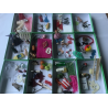 Phonogramm Lesedosen nach Montessori