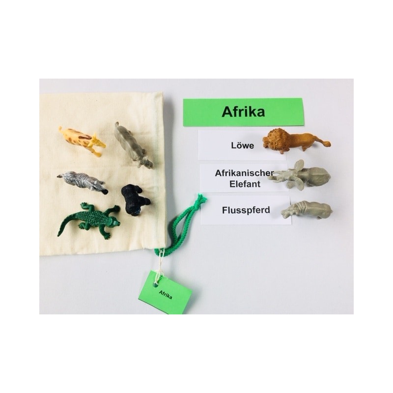 Animals of the Continents