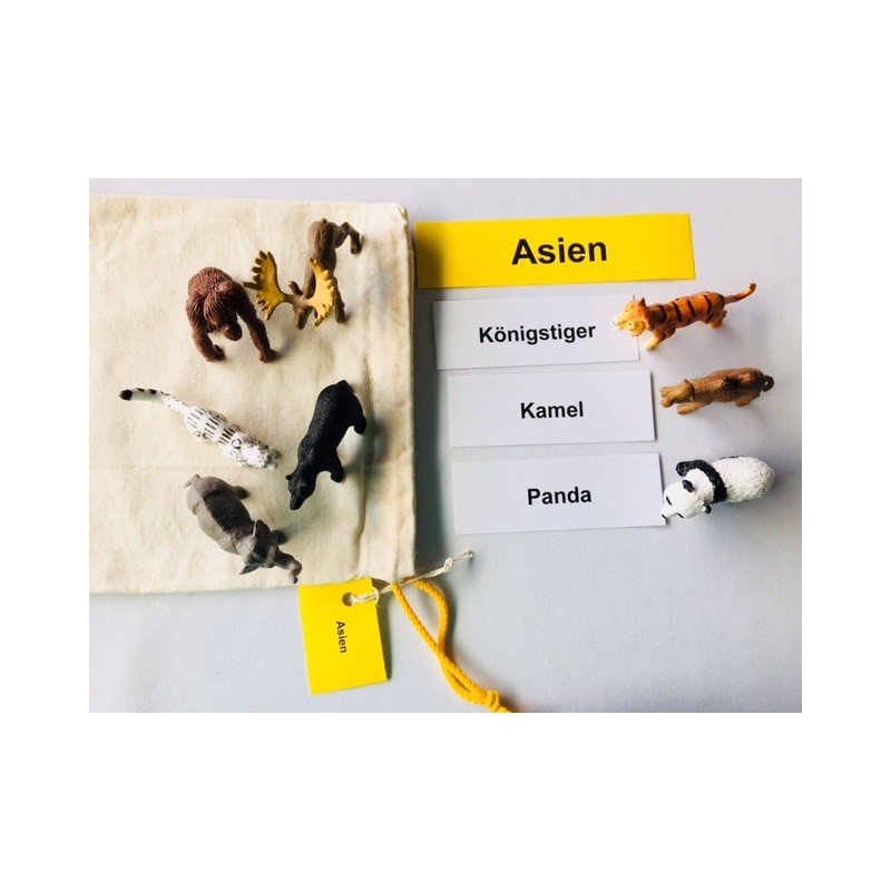 Animals of the Continents