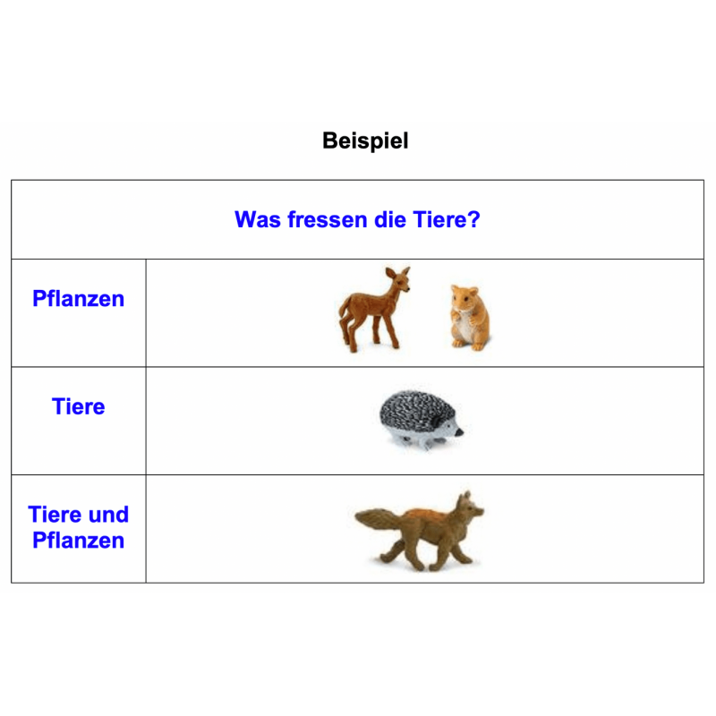Tiere der Kontinente