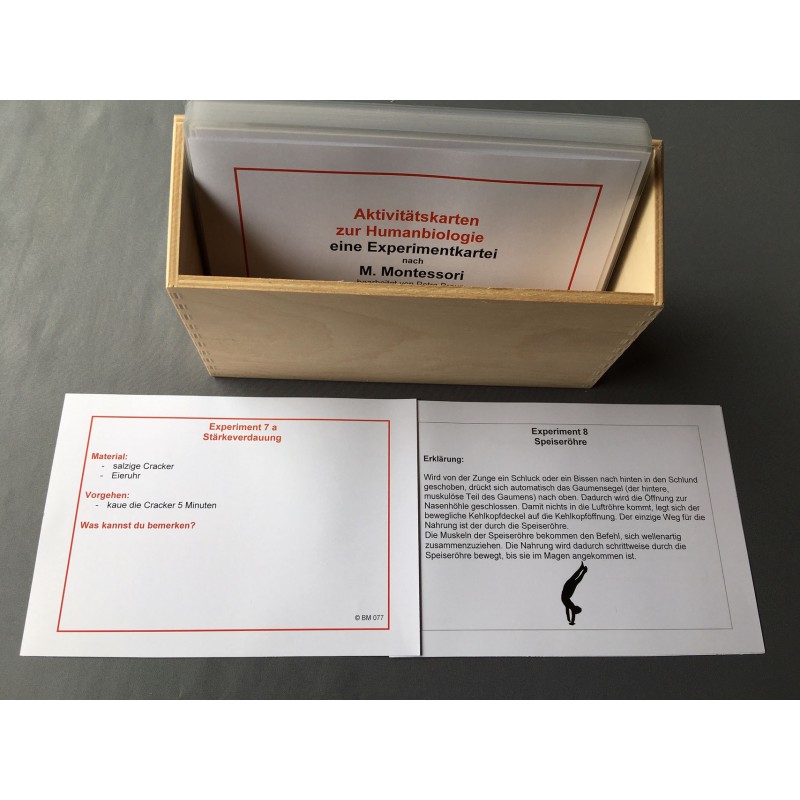 Aktivitätskarten zur Humanbiologie