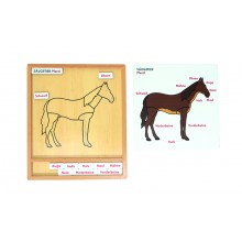 Farebné zvieracie puzzle-aktivity set - kôň - nemčina