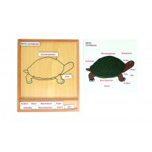 Farebné zvieracie puzzle aktivity - Korytnačka - Nemčina