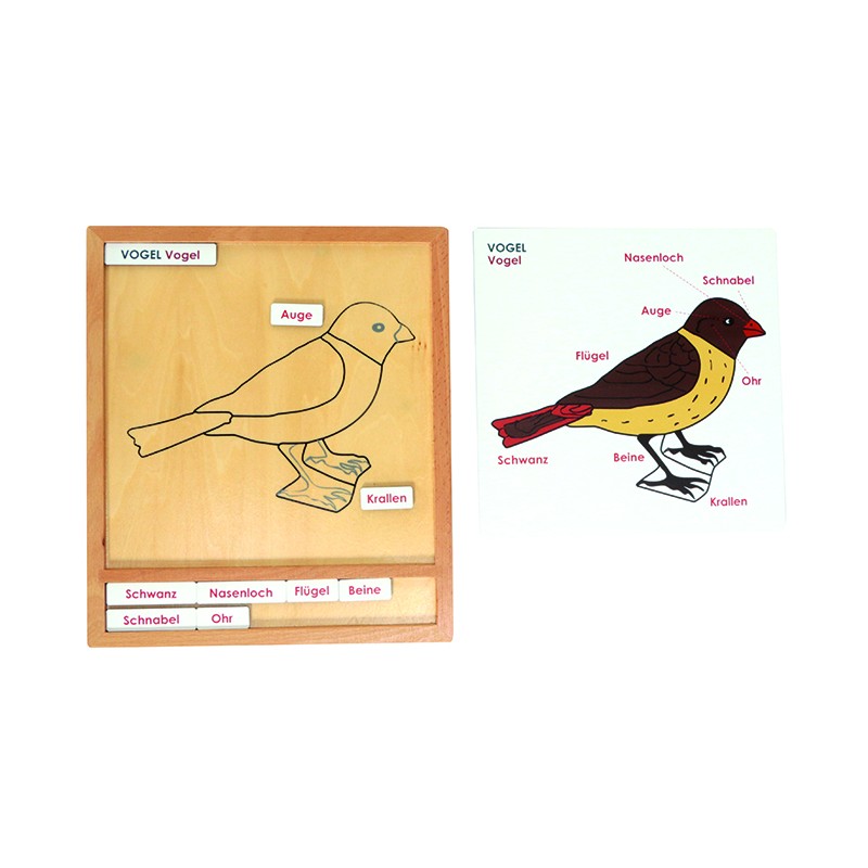 Colored animal puzzle activity set -bird - German