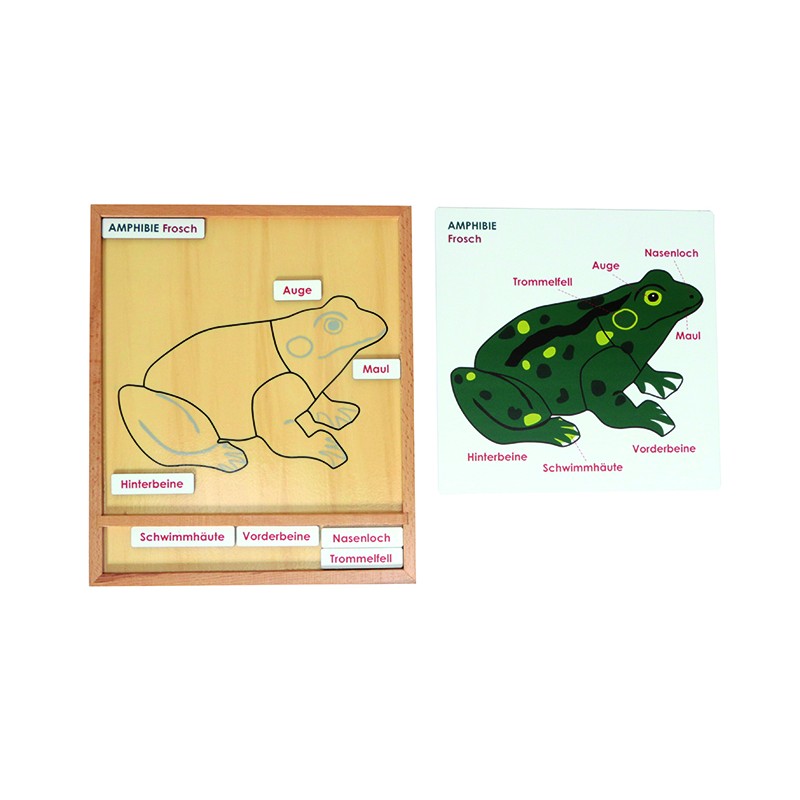 Colorful Animal Puzzle Activity Set - Frog - German